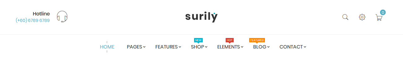 Surily Store V1.6